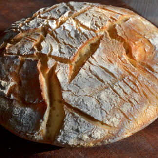 Sourdough